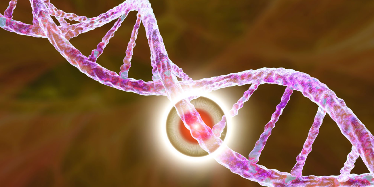 HER2 Gene Mutation: Testing and Treatment | ACTC Florida