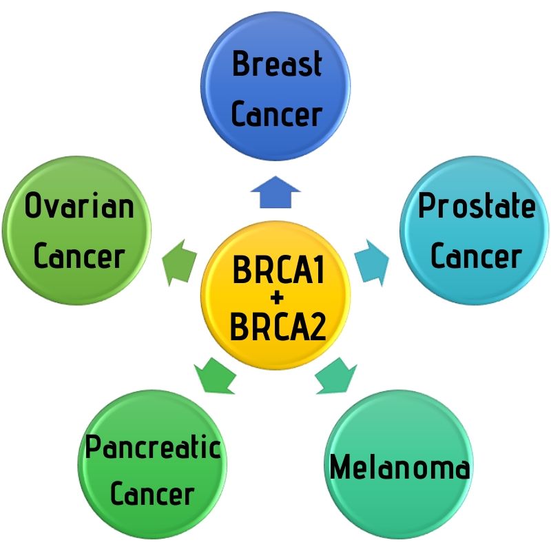 Pioneering Wellness through BRCA Gene Insight