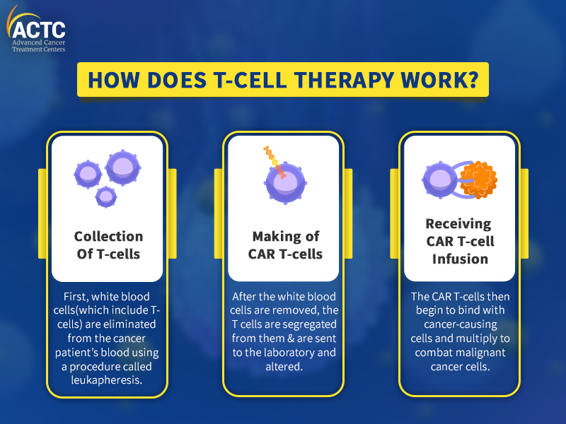 How-does-T-cell-therapy-work