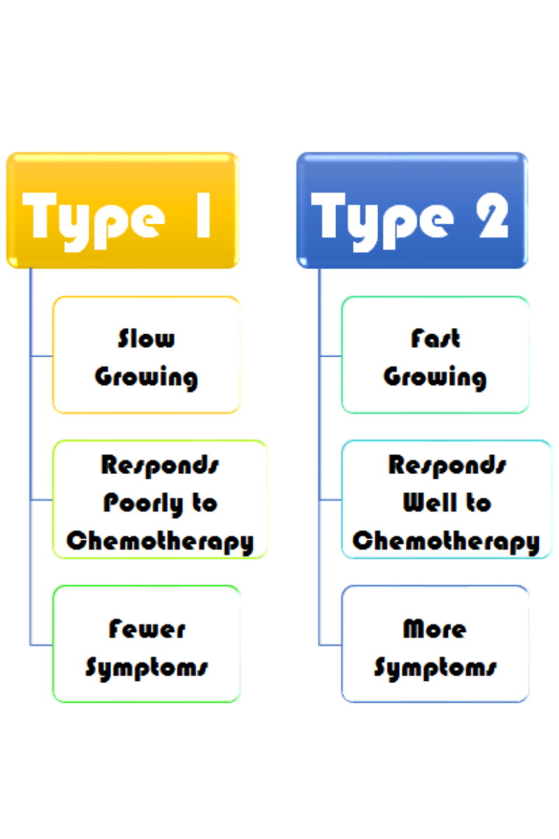 The Stages of Ovarian Cancer and What They Mean