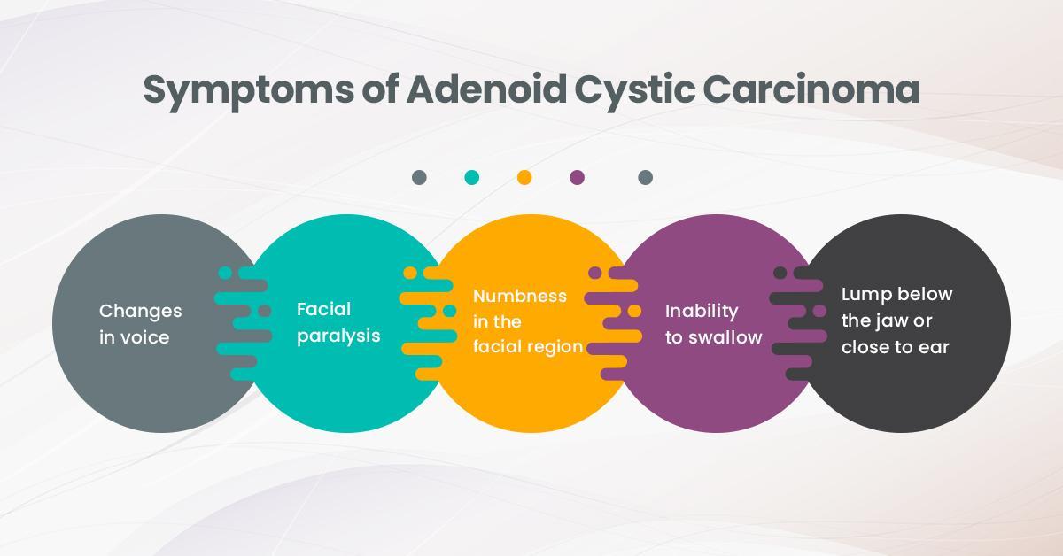 adenoid-cystic-carcinoma-a-succinct-guide-for-patients-and-caregivers
