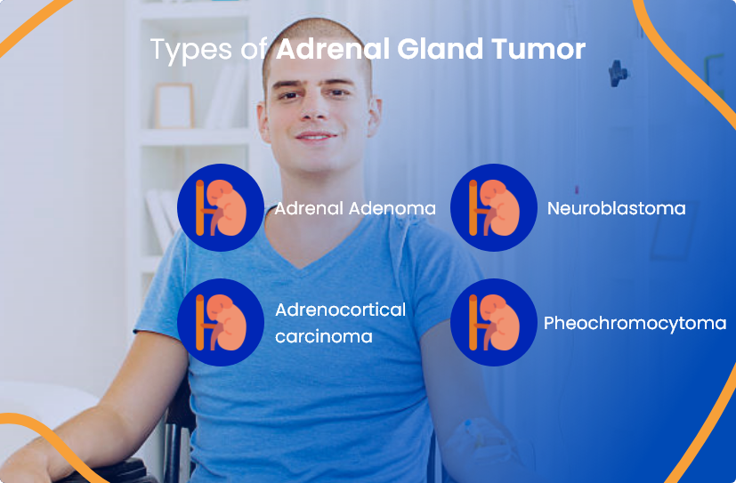 adrenal-types